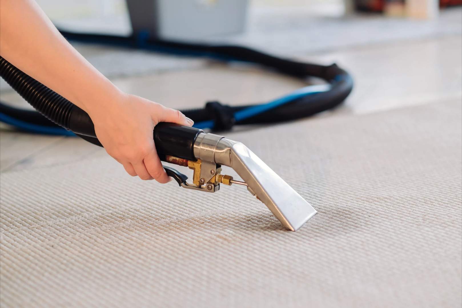Carpet Cleaning - Professional cleaning service